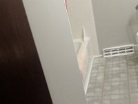 20150226 170424